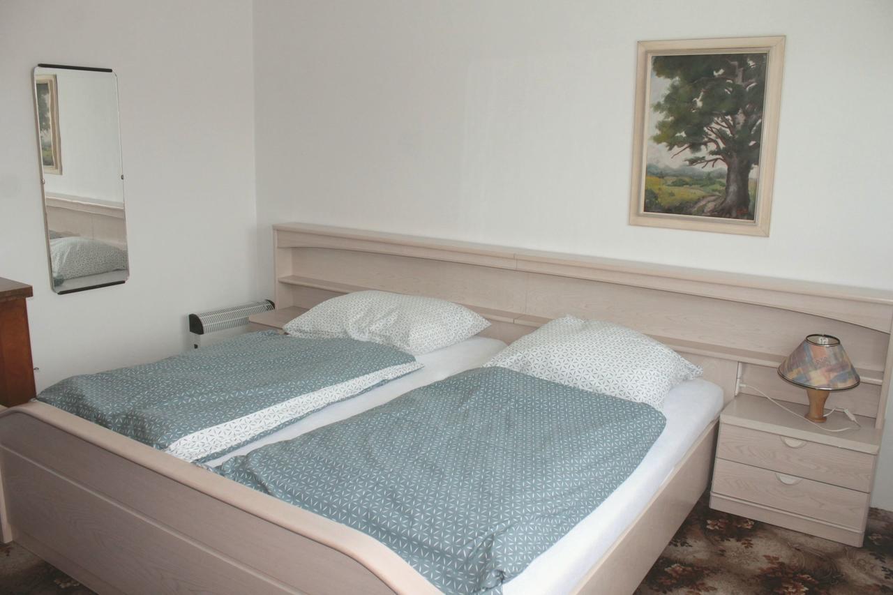 Apartman Luznicka, Soběslav エクステリア 写真